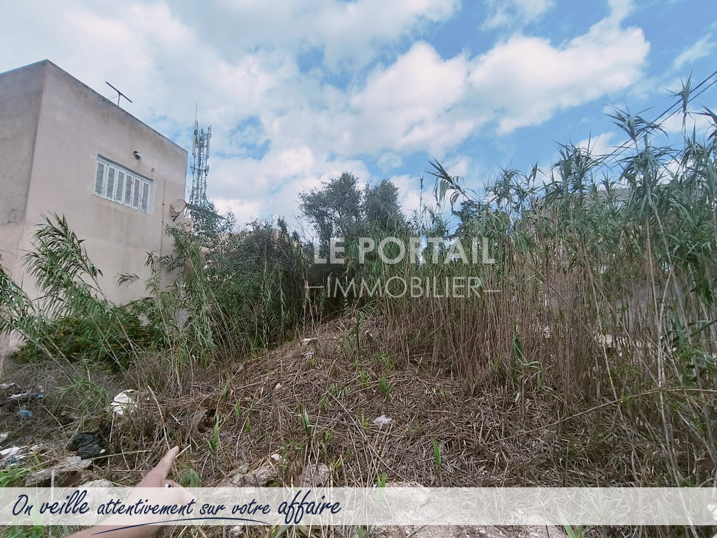 blog